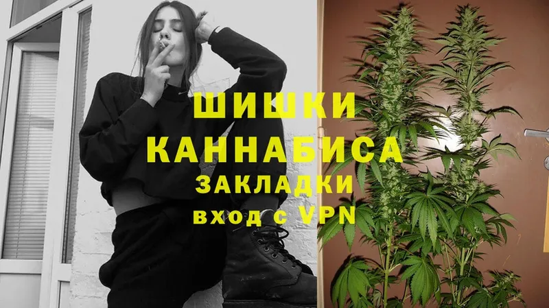 где найти наркотики  Новопавловск  hydra вход  Шишки марихуана SATIVA & INDICA 